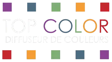 Logo TOP COLOR